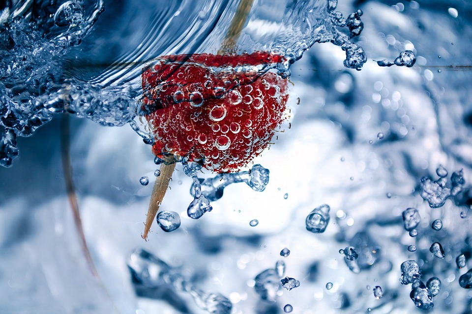 berry in water